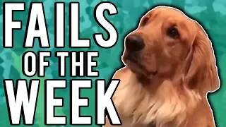 Best Fails of the Week #2 (February 2018) || FailUnited