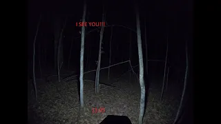 SCARIEST SOUND I'VE EVER HEARD IN THE FOREST