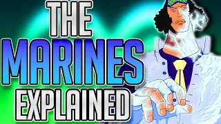 The Marines Explained | One Piece