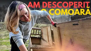 ✨ Am descoperit o COMOARA | Prima SAPTAMANA la TARA