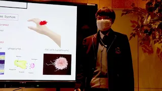 Our Life Saver, Immune System | Jiwon Choi | TEDxYouth@IASA