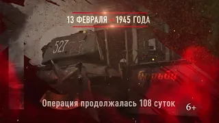 Освобождение Будапешта  13 февраля 1945 года без звука