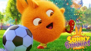 Dibujos para niños | Sunny Bunnies - Jugador de fútbol | Dibujos animados divertidos para niños