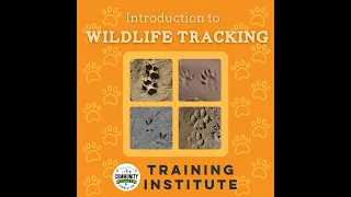 Intro to Wildlife Tracking