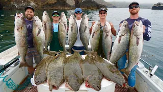 The most INSANE White Seabass Fishing in California (Catch, Clean, Cook with Landshark Outdoors)