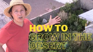 How to Have a Successful Garden in the Desert or Anywhere Top 10 Tips