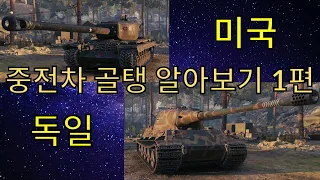 헤비골탱 알아보기 1편 미국/독일