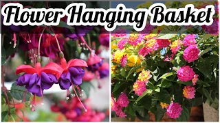 Top 10 Hanging Basket Flowering Plants Ideas🌱🌸