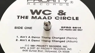 WC & The Maad Circle - Ain't A Damn Thing Changed (Remix) 1991