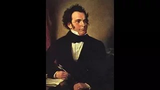 Franz Schubert - Symphony No. 7 in D-Major, D. 708a