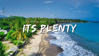 Its Plenty - Burna Boy feat. Dj Ronzkie Music Records | Tiktok Viral Remix 2023