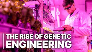The Rise Of Genetic Engineering | Gene-Editing Technology | Science Documentary