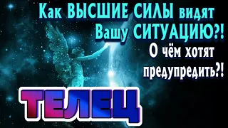 ТЕЛЕЦ 🧚‍♂️🧚‍♂️🧚‍♂️ Как ВЫСШИЕ СИЛЫ видят Вашу ситуацию О чем хотят предупредить Гадание Онлайн