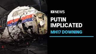 MH17 probe suspended, 'strong indications' Putin approved missile supply | ABC News