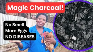 Benefits of charcoal to poultry farming/how much charcoal to give and how to administer to birds.