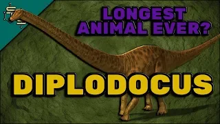 Diplodocus Facts For Children - The Double-Beamed Lizard