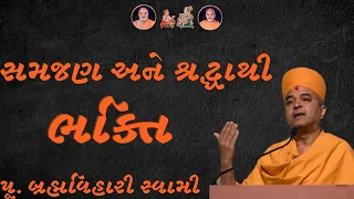 સમજણ અને શ્રદ્ધાથી ભક્તિ~ Pujya Brahmvihari Swami | BAPS Katha Pravachan | Swaminarayan Katha 2024