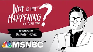 Chris Hayes Podcast With Dr. Peter Hotez | Why Is This Happening? - EP 156 | MSNBC