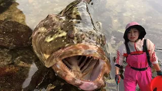 Xiao Zhang caught a big grouper & lobster  sea cucumber burst the barrel  got rich!