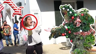 Bushman undercover as a Christmas tree :Bushman prank