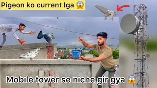 Aaj 3 naye kabutar mile 🤩 ( Try to catch three new pigeons 🕊️ )