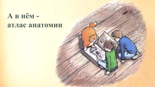 Буктрейлер по книге К. Доннер "Тайны анатомии"