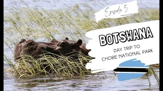 BOTSWANA CHOBE DAY TRIP|| Game drive and boat cruise in Chobe National Park.