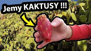 Jemy Owoce Kaktusów !!! - Jak Smakuje OPUNCJA ??? - Piramida w GRECJI i miasto Nafplio nocą (#528)