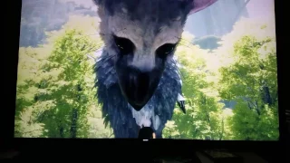 The Last Guardian: PS4Pro HDR & High Resolution Makes this game Beautiful