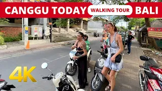 🇲🇨 BALI CANGGU Today Full Tour [4K] Bali Indonesia Walking Tour 2023 | Bali Travel Vlog