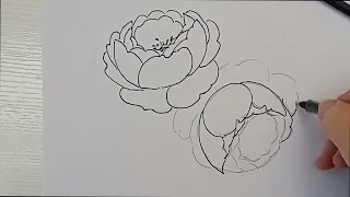 Disegnare le rose facilmente, ecco come si fa!