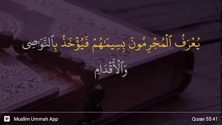 Ar-Rahman ayat 41