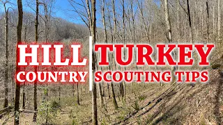 How to Find Turkeys in Hill Country (Ridge & Hollow Terrain)