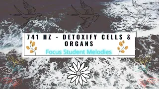 741 Hz  - Detoxify Cells & Organs | Focus Student Melodies