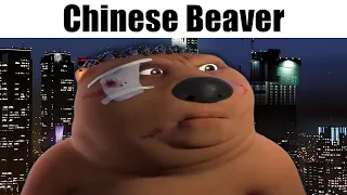 Chinese Beaver vs Gen Alpha