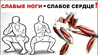 Слабые ноги - слабое сердце ! Что приседания дают сердцу ?