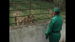 PARC ZOO BOTANIQUE DE MVOG BETSI (CAMEROUN)