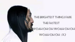 Steve Aoki feat. Fall Out Boy - Back To Earth lyrics