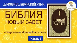 Библия. Новый Завет на церковнославянском языке. Откровение Иоанна Богослова Апокалипсис. Часть 7.