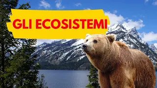 GLI ECOSISTEMI - video lezione di scienze per la scuola primaria