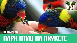 Парк птиц на Пхукете | Phuket Bird Park