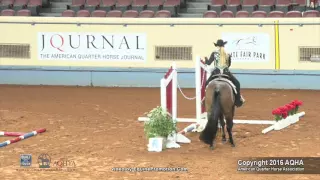 A Judge's Perspective: 2016 AQHYA Trail World Champion