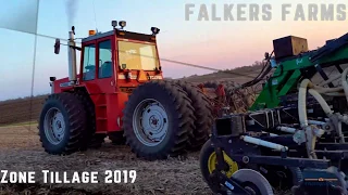 Falkers Farms - Strip Tillage 2019 - Massey Ferguson 4900 - 4880