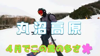 【丸沼高原】インターから遠いのに人気のスキー場 with フリースキー