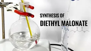 Diethyl Malonate : Synthesis via Fischer Esterification