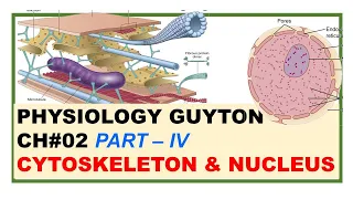 Chp#2(Part-IV) Guyton Physio | Cytoskeleton & Nucleus | Cell & Its Functions | Guyton Physiology