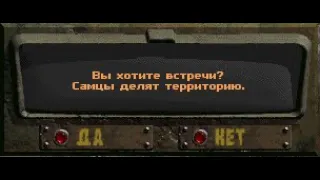 Fallout:Sonora. Случайная встреча - Самцы делят территорию.