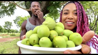 Our First SHEA NUT FRUIT HARVEST | Ep. 132