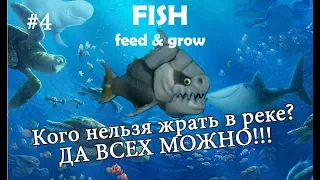 Fish feed and grow прохождение 4 ХИЩНИКИ В РЕКЕ