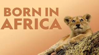 BORN IN AFRICA | The Circle of Life | Wildlife Documentary | Wild Planet hindi